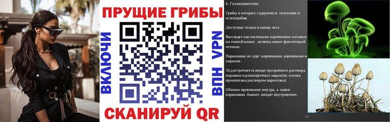 Галлюциногенные грибы мицелий  Карачев 